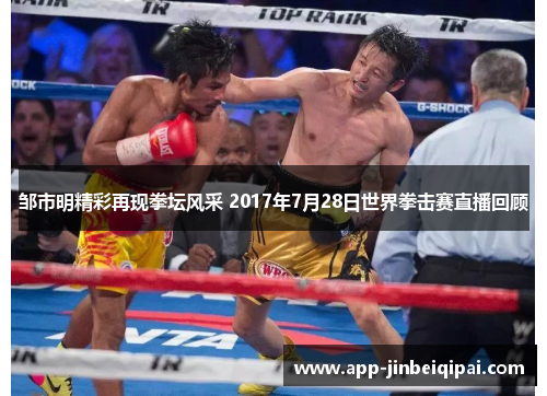 邹市明精彩再现拳坛风采 2017年7月28日世界拳击赛直播回顾